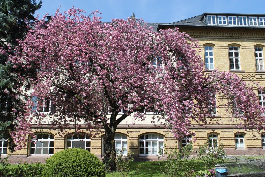 Außenansicht Bildungsakademie