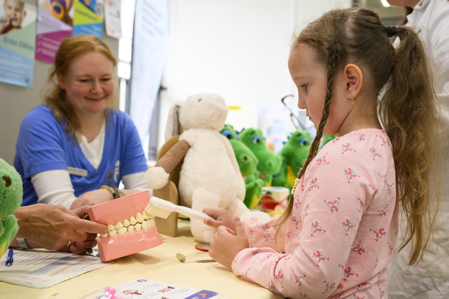 Bild zur Presse-News "Teddybärkrankenhaus – professionelle Hilfe für kranke Kuscheltiere"