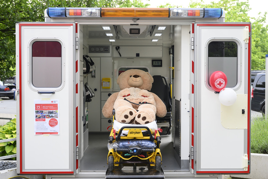 Bild zur Presse-News "Teddybärkrankenhaus – professionelle Hilfe für kranke Kuscheltiere"