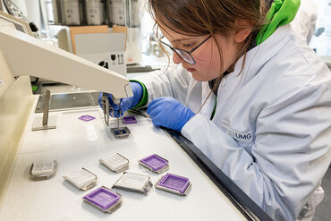 Bild zur Presseinformation "Von Forschung bis Pflege – Berufliche Vielfalt der UMG am Zukunftstag erleben"