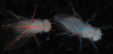 Link to Press Release regarding the subject "How social experiences shape behavior"