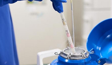 A sample gets pulled from cold storage