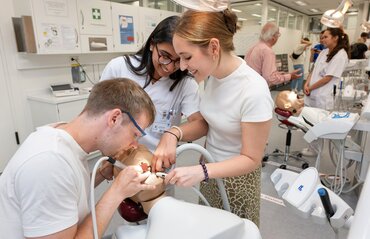Bild zur Presseinformation "Leber-Bauchspeicheldrüse-Organmodell, Herzmuskelzellen aus Urin und Gedächtnistraining in virtueller Realität"