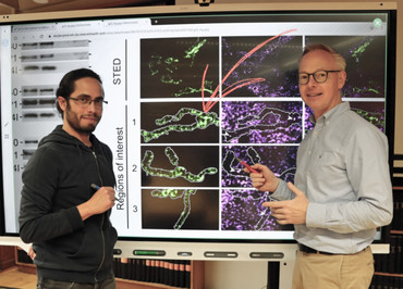 Link zur Presseinformation Nr. 145 / 2021 zum Thema "Genexpression in Mitochondrien gezielt verändern"