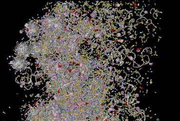 Link zur Presseinformation Nr. 085 / 2021 zum Thema „Alle Proteine auf einem Bild: Hochdurchsatz-Imaging von Proteinen mit Nanobodies auf der Nanoskala“