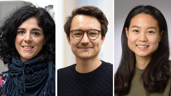 Bild zur Presseinformation "Neuer Ansatz gegen Herzschwäche: Göttinger Forschende finden genetischen Schalter"