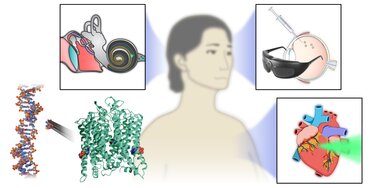 Illustration for the press release "Improved molecular light switch promises help for blind, deaf and heart patients"
