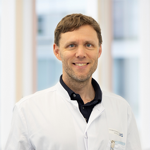 Prof. Dr. David Zilles-Wegner