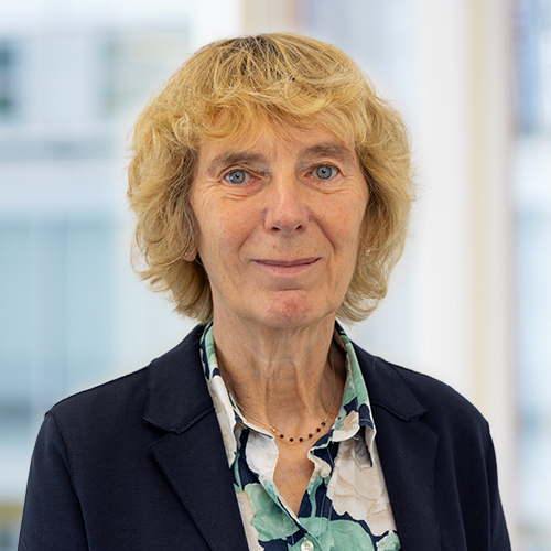 Prof. Dr. rer. nat. Sabine Mihm